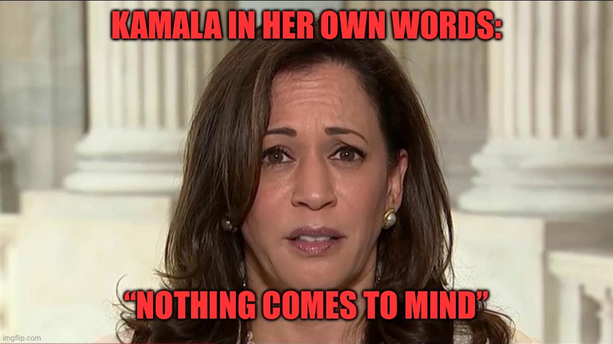 kamala harris | KAMALA IN HER OWN WORDS: “NOTHING COMES TO MIND” | image tagged in kamala harris | made w/ Imgflip meme maker