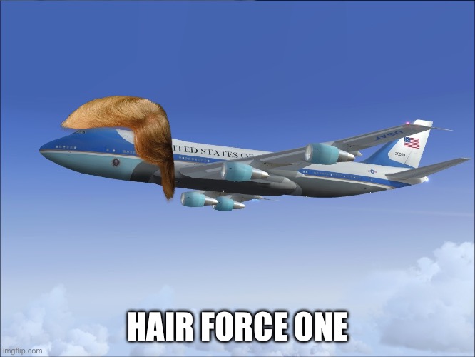 Air Force One | HAIR FORCE ONE | image tagged in air force one | made w/ Imgflip meme maker