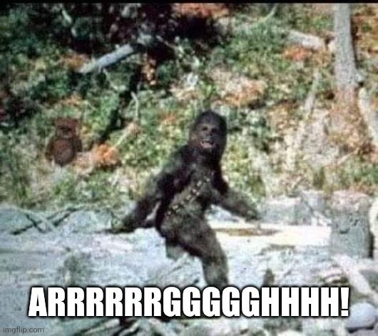 Bigfoot Chewbacca | ARRRRRRGGGGGHHHH! | image tagged in bigfoot chewbacca | made w/ Imgflip meme maker