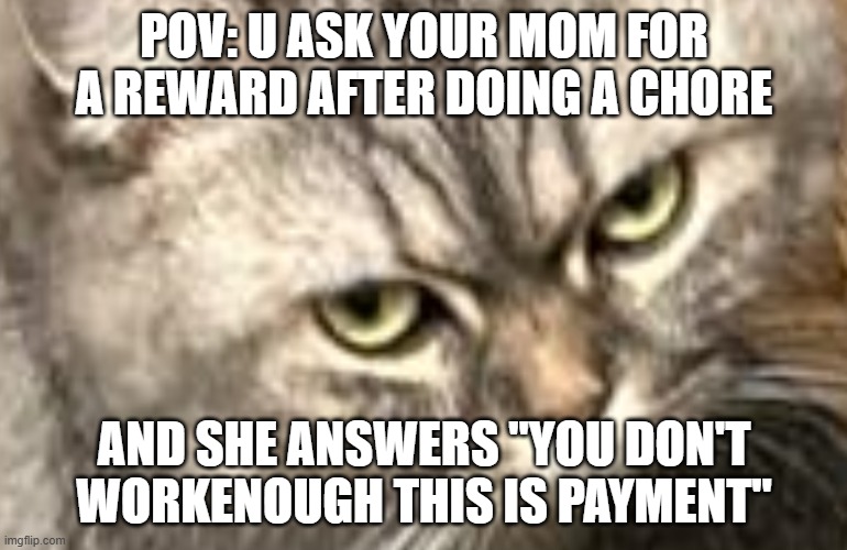 POV: U ASK YOUR MOM FOR A REWARD AFTER DOING A CHORE; AND SHE ANSWERS "YOU DON'T WORKENOUGH THIS IS PAYMENT" | made w/ Imgflip meme maker