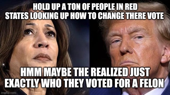 Little orange felon | HOLD UP A TON OF PEOPLE IN RED STATES LOOKING UP HOW TO CHANGE THERE VOTE; HMM MAYBE THE REALIZED JUST EXACTLY WHO THEY VOTED FOR A FELON | image tagged in little orange felon | made w/ Imgflip meme maker