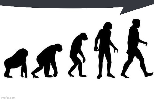 Human Evolution | image tagged in human evolution | made w/ Imgflip meme maker