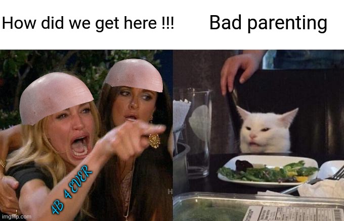 They ask, I answer. | How did we get here !!! Bad parenting; 4B  4 EVER | image tagged in 4b movement,leftists,histrionics,nonsense,civil unrest,triggered feminist | made w/ Imgflip meme maker