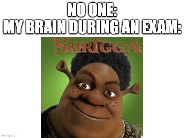 My brain normally is fine | NO ONE:
MY BRAIN DURING AN EXAM: | image tagged in fun,exams | made w/ Imgflip meme maker