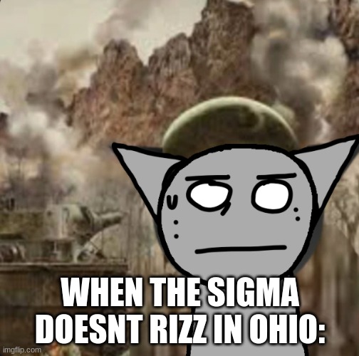 1000 yard stare | WHEN THE SIGMA DOESNT RIZZ IN OHIO: | image tagged in 1000 yard stare | made w/ Imgflip meme maker