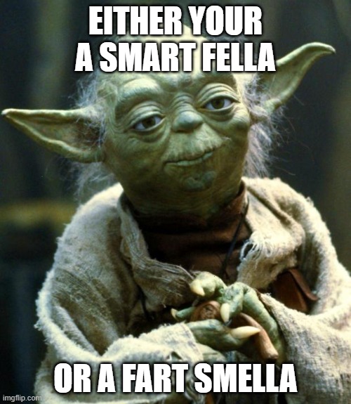 Star Wars Yoda | EITHER YOUR A SMART FELLA; OR A FART SMELLA | image tagged in memes,star wars yoda | made w/ Imgflip meme maker