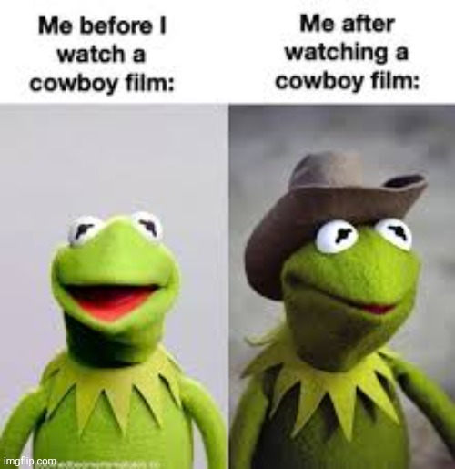 Yee haw! | image tagged in cowboy,kermit the frog,muppets,the muppets,western,cowboy hat | made w/ Imgflip meme maker