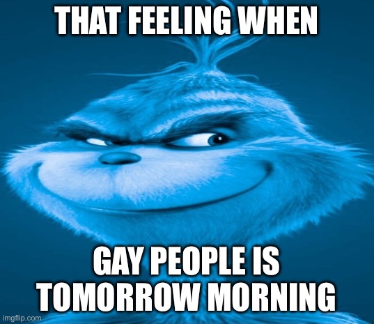 Blue Grinch | THAT FEELING WHEN; GAY PEOPLE IS TOMORROW MORNING | image tagged in blue grinch | made w/ Imgflip meme maker