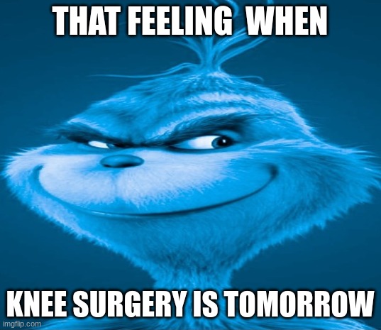 Blue Grinch | THAT FEELING  WHEN; KNEE SURGERY IS TOMORROW | image tagged in blue grinch | made w/ Imgflip meme maker