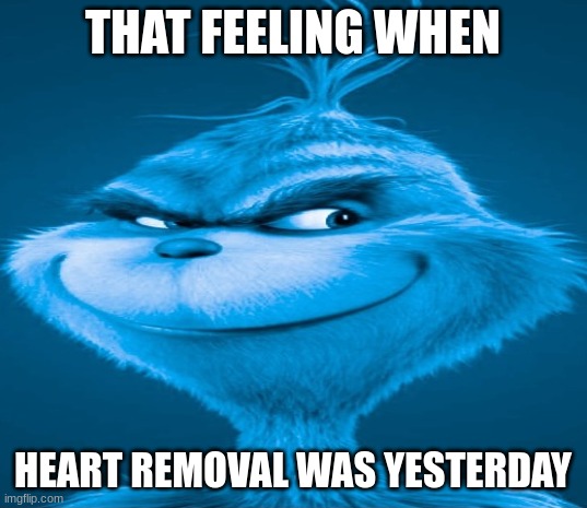 Blue Grinch | THAT FEELING WHEN; HEART REMOVAL WAS YESTERDAY | image tagged in blue grinch | made w/ Imgflip meme maker