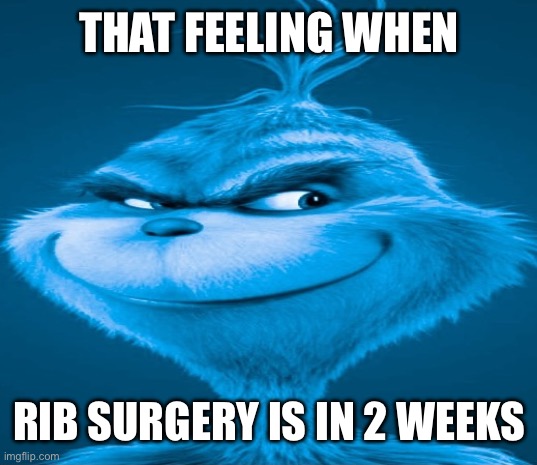 Blue Grinch | THAT FEELING WHEN; RIB SURGERY IS IN 2 WEEKS | image tagged in blue grinch | made w/ Imgflip meme maker