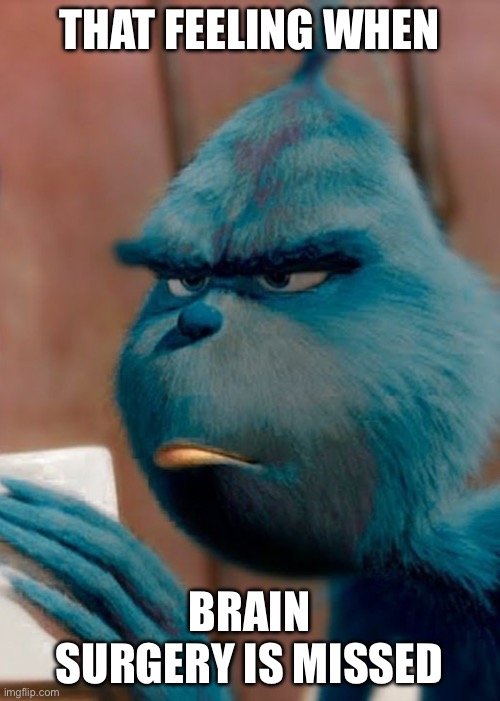 Sad blue grinch | THAT FEELING WHEN BRAIN SURGERY IS MISSED | image tagged in sad blue grinch | made w/ Imgflip meme maker
