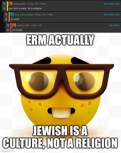 ERM ACTUALLY; JEWISH IS A CULTURE, NOT A RELIGION | image tagged in nerd emoji | made w/ Imgflip meme maker