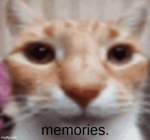 Pablo | memories. | image tagged in pablo | made w/ Imgflip meme maker