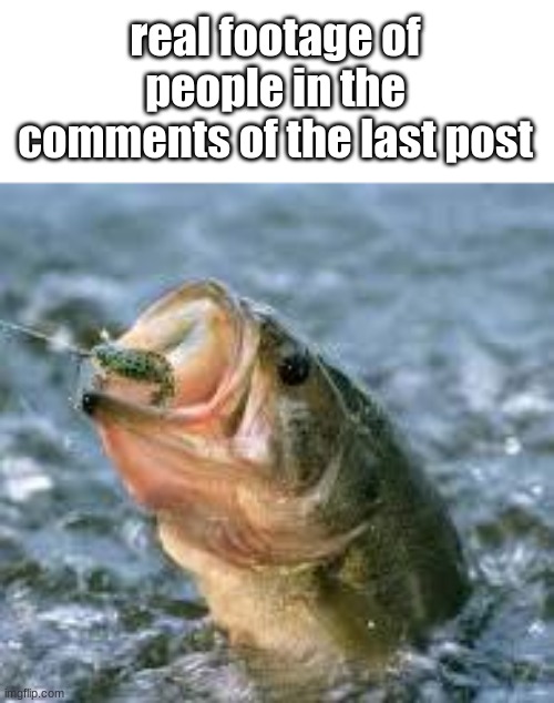 you took the bait, fools | real footage of people in the comments of the last post | image tagged in bait | made w/ Imgflip meme maker