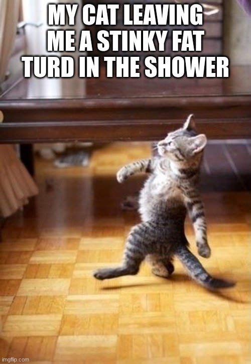 Cool Cat Stroll Meme | MY CAT LEAVING ME A STINKY FAT TURD IN THE SHOWER | image tagged in memes,cool cat stroll | made w/ Imgflip meme maker