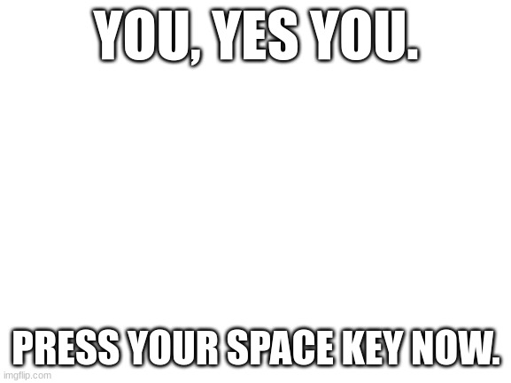 Blank White Template | YOU, YES YOU. PRESS YOUR SPACE KEY NOW. | image tagged in blank white template | made w/ Imgflip meme maker