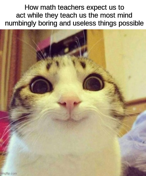 I am not a happy camper | How math teachers expect us to act while they teach us the most mind numbingly boring and useless things possible | image tagged in memes,smiling cat | made w/ Imgflip meme maker