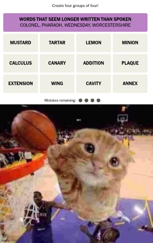 image tagged in ballin cat | made w/ Imgflip meme maker