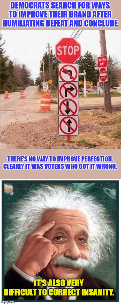 They still want to push their delusional agenda. | DEMOCRATS SEARCH FOR WAYS TO IMPROVE THEIR BRAND AFTER HUMILIATING DEFEAT AND CONCLUDE; THERE'S NO WAY TO IMPROVE PERFECTION. CLEARLY IT WAS VOTERS WHO GOT IT WRONG. IT'S ALSO VERY DIFFICULT TO CORRECT INSANITY. | image tagged in no right move,albert einstein points at head | made w/ Imgflip meme maker