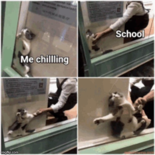 Tried hiding from school | image tagged in memes,funny | made w/ Imgflip meme maker