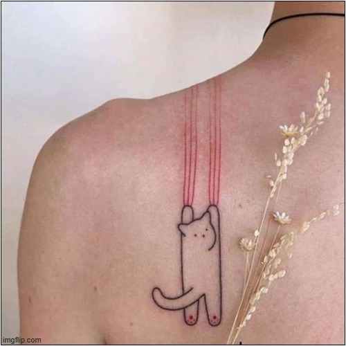 A Perfect Cat Tattoo ! | image tagged in cats,tattoo | made w/ Imgflip meme maker