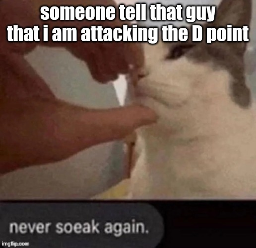 never soeak again | someone tell that guy that i am attacking the D point | image tagged in never soeak again | made w/ Imgflip meme maker