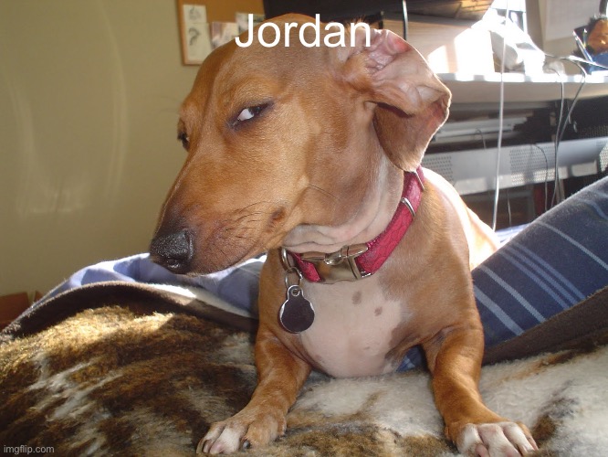 Suspicious Dog | Jordan | image tagged in suspicious dog | made w/ Imgflip meme maker