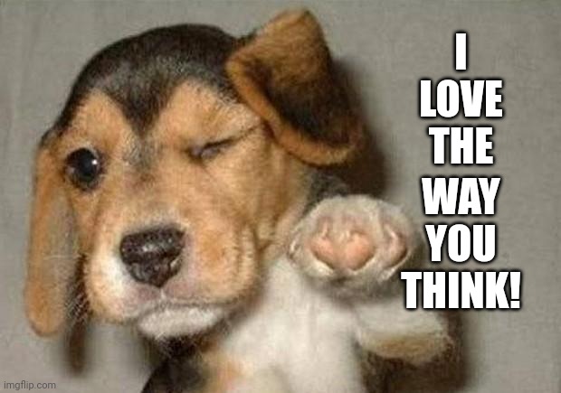 Winking Dog | I LOVE THE WAY YOU THINK! | image tagged in winking dog | made w/ Imgflip meme maker