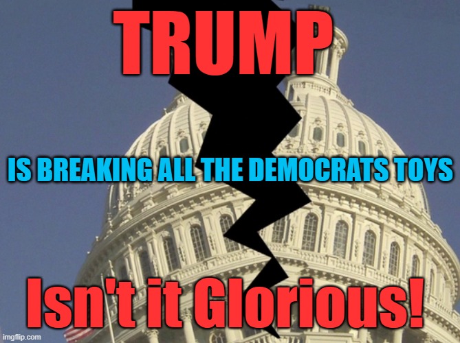 Trump is CLEANING house! | TRUMP; IS BREAKING ALL THE DEMOCRATS TOYS; Isn't it Glorious! | image tagged in trump | made w/ Imgflip meme maker