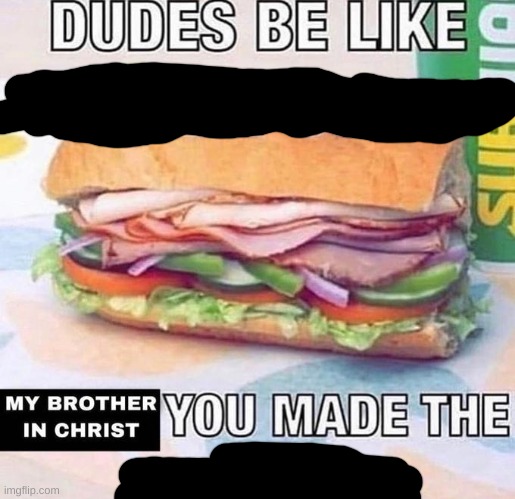 My Brother In Christ You Made The Black Scribbly | image tagged in brother in christ subway,4th wall,self aware meme | made w/ Imgflip meme maker