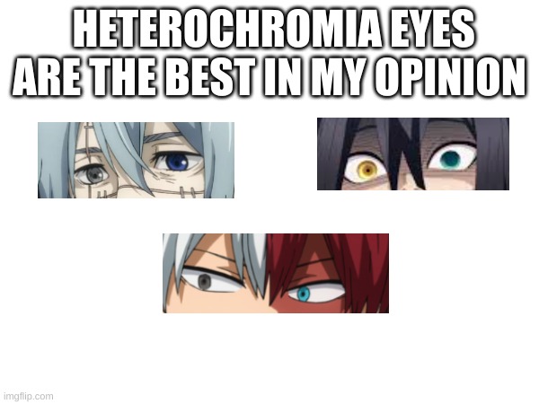 HETEROCHROMIA EYES ARE THE BEST IN MY OPINION | made w/ Imgflip meme maker