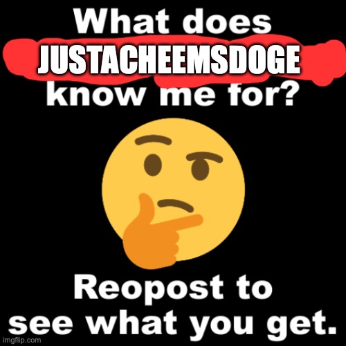 What does MS_memer_group know me for? | JUSTACHEEMSDOGE | image tagged in what does ms_memer_group know me for | made w/ Imgflip meme maker