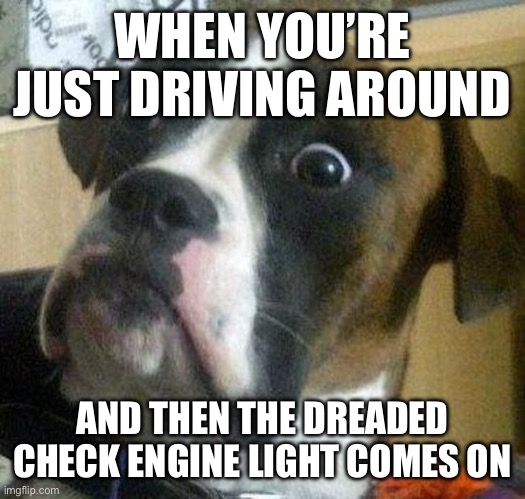 What?! Check engine light?! | WHEN YOU’RE JUST DRIVING AROUND; AND THEN THE DREADED CHECK ENGINE LIGHT COMES ON | image tagged in scaredy boxer | made w/ Imgflip meme maker