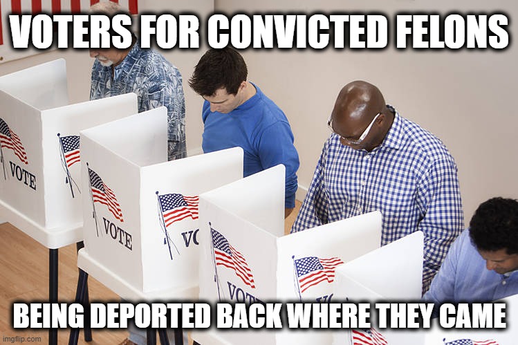 VOTED FOR CONVICTED FELON... | VOTERS FOR CONVICTED FELONS; BEING DEPORTED BACK WHERE THEY CAME | image tagged in convicted felon,vote,deportation,democrats,fault,voters | made w/ Imgflip meme maker