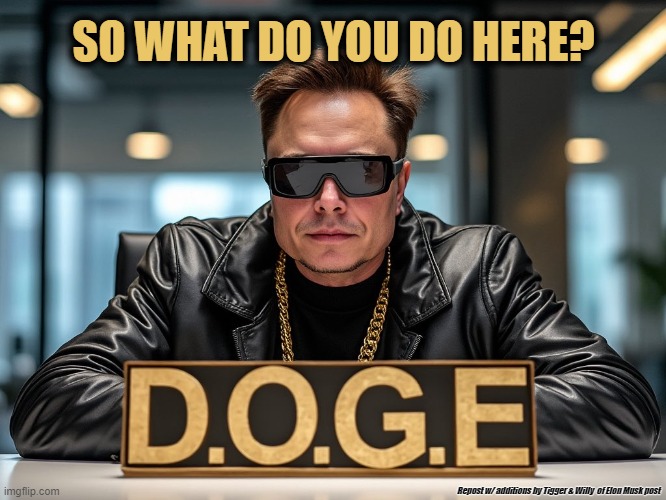 SO WHAT DO YOU DO HERE? Repost w/ additions by Tigger & Willy  of Elon Musk post | made w/ Imgflip meme maker