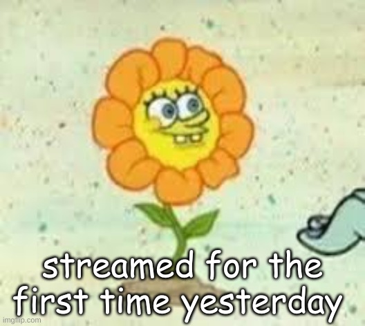 flowey | streamed for the first time yesterday | image tagged in flowey | made w/ Imgflip meme maker