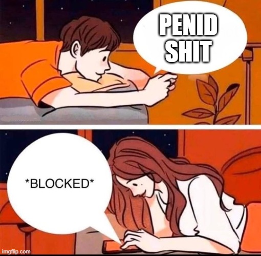Blocked | PENID SHIT | image tagged in blocked | made w/ Imgflip meme maker