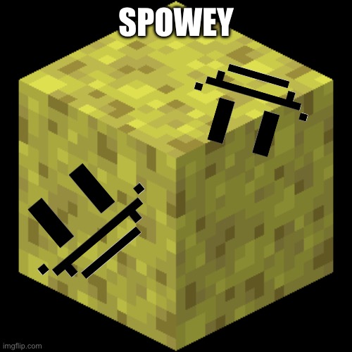 SPOWEY | made w/ Imgflip meme maker