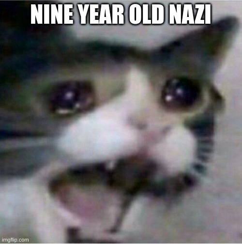 crying cat | NINE YEAR OLD NAZI | image tagged in crying cat | made w/ Imgflip meme maker