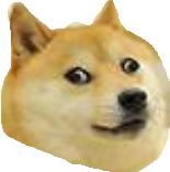 Derp-DOGE Meme Template