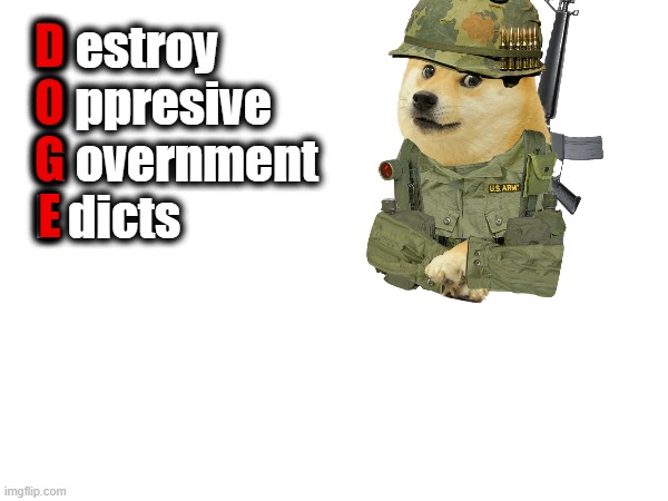 DOGE IT | D
O
G
E; D estroy
O ppresive
G overnment
E dicts | image tagged in destroy,oppression,government,edicts,corruption,laws | made w/ Imgflip meme maker