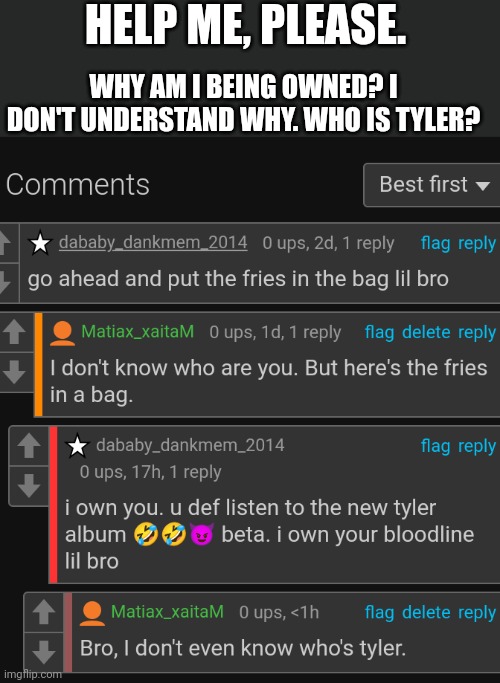 The meme where this comment is, is not even related to fries. | HELP ME, PLEASE. WHY AM I BEING OWNED? I DON'T UNDERSTAND WHY. WHO IS TYLER? | image tagged in question | made w/ Imgflip meme maker