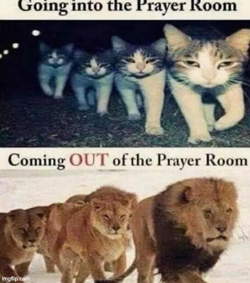 Prayer room | image tagged in prayer room | made w/ Imgflip meme maker