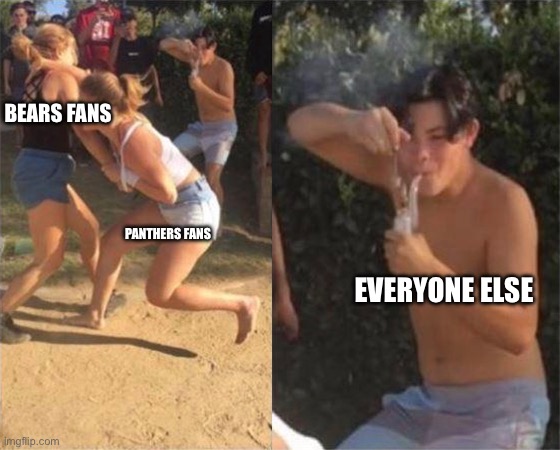Two girls fighting | BEARS FANS; PANTHERS FANS; EVERYONE ELSE | image tagged in two girls fighting | made w/ Imgflip meme maker