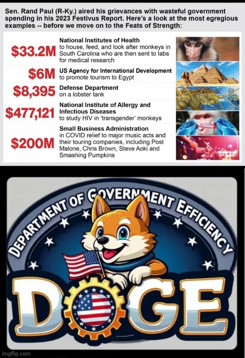 Doge more government waste | image tagged in doge logo,government,waste | made w/ Imgflip meme maker