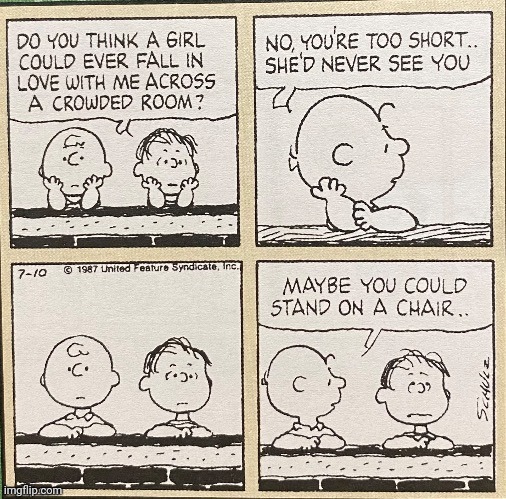 Short | image tagged in short,girl,peanuts,comics,comics/cartoons,height | made w/ Imgflip meme maker