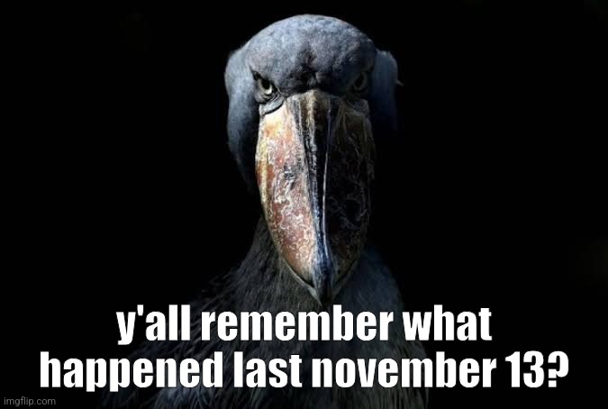 The W | y'all remember what happened last november 13? | image tagged in the w | made w/ Imgflip meme maker