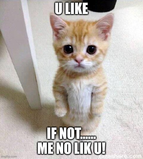 U LIKE IF NOT...... ME NO LIK U! | image tagged in memes,cute cat | made w/ Imgflip meme maker