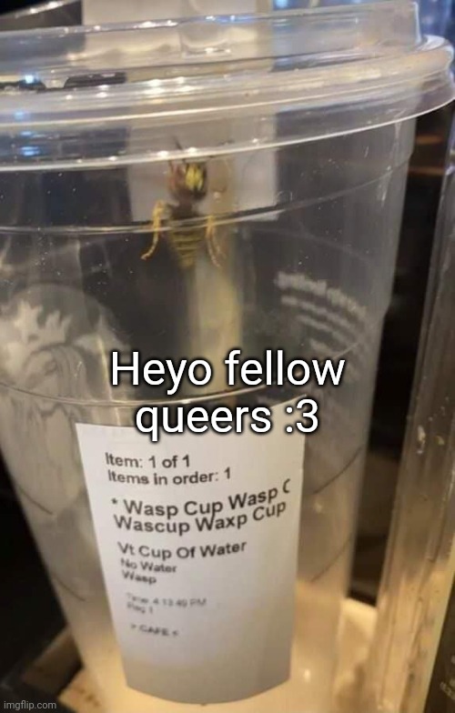 Wasp cup Wasp cup Wasp cup Wasp cup Wasp cup Wasp cup Wasp cup | Heyo fellow queers :3 | image tagged in wasp cup wasp cup wasp cup wasp cup wasp cup wasp cup wasp cup | made w/ Imgflip meme maker